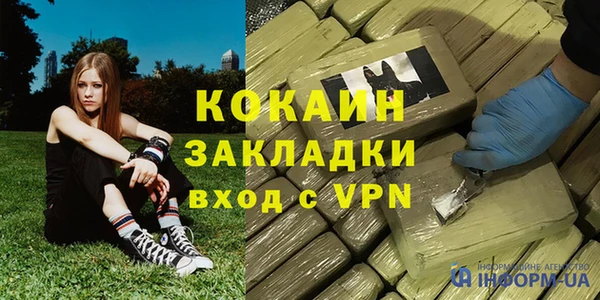 гашик Арсеньев