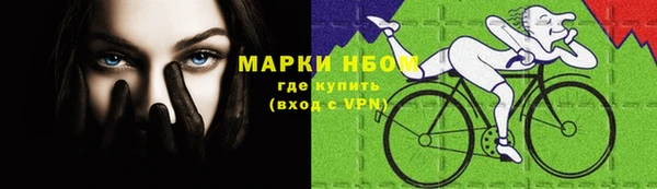гашик Арсеньев