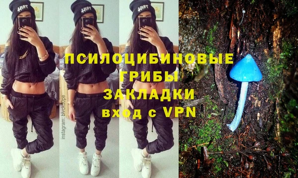дурь Аркадак