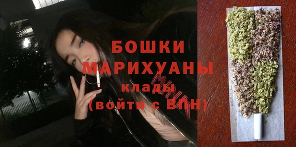 гашик Арсеньев