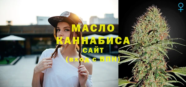 гашик Арсеньев
