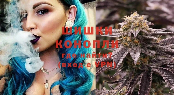 винт Каменка