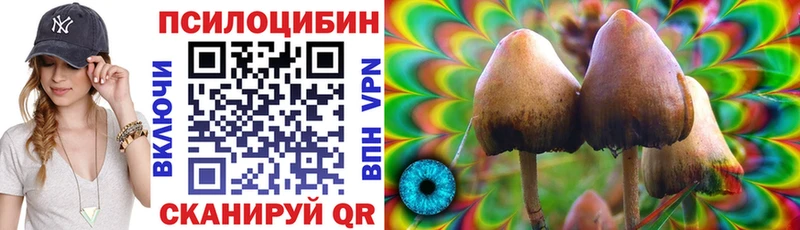 Псилоцибиновые грибы Cubensis  площадка телеграм  Суджа 
