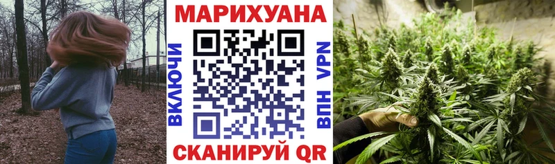 Конопля ГИДРОПОН  Суджа 